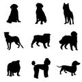 Dog Silhouettes and Icons Royalty Free Stock Photo