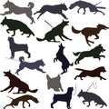 Dog silhouettes illustration. Royalty Free Stock Photo