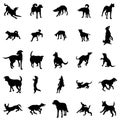 Dog silhouettes set Royalty Free Stock Photo