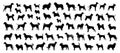 Dog Silhouettes Set Collection of Different Dog Breeds in Black Silhouette Style Royalty Free Stock Photo