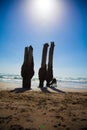 Dog silhoutted on sunny beach Royalty Free Stock Photo