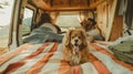 The dog in campervan bed. AI generated Royalty Free Stock Photo