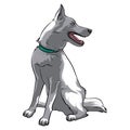 The dog sits and looks to the side. The dog is watching. Vector stock illustration on a white background.