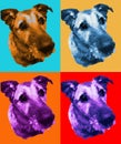 Dog paint Ã¢â¬â¹Ã¢â¬â¹sitting isolated popart