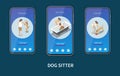 Dog Sitter Isometric Set Royalty Free Stock Photo