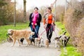 Dog sitters walking their customers Royalty Free Stock Photo