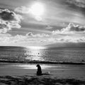 Dog on Napili beach in Maui