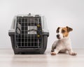 Dog sitting next to an open plastic carrier. Royalty Free Stock Photo