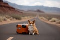 A dog sitting next to a suitcase on the road