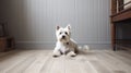 Dog sitting next to white wooden frame on wooden floor