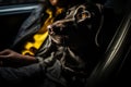 dog sitting on the passenger seat of a car close-up generative ai