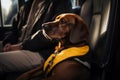 dog sitting on the passenger seat of a car close-up generative ai