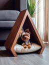 Dog sitting in pet booth. Cozy house inside interior Royalty Free Stock Photo
