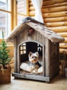 Dog sitting in pet booth. Cozy house inside interior Royalty Free Stock Photo