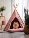 Dog sitting in pet booth. Cozy house inside interior Royalty Free Stock Photo