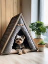 Dog sitting in pet booth. Cozy house inside interior Royalty Free Stock Photo