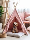 Dog sitting in pet booth. Cozy house inside interior Royalty Free Stock Photo