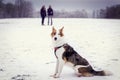 Dog sitting in the snow, two women in the background, winter season walk