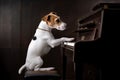 dog, sitting on top of grand piano, playing rock ballad with its paw