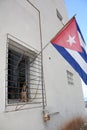 Dog sitting in a window, near a cuban flag Royalty Free Stock Photo