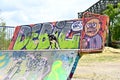 Dog on skaters ramp