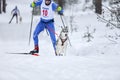 Dog skijoring winter competition