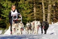 Dog sled race