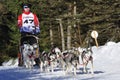 Dog sled race