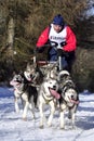 Dog sled race