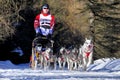 Dog sled race