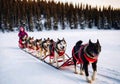 Dog sled on snowy mountains