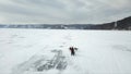 Dog sledding on a frozen lake in winter time. Clip. Aerial view of touristic husky sled safari through snowy frozen