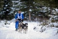 Dog sledding with husky