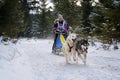 Dog sledding with husky on International dog sled competition Royalty Free Stock Photo