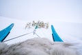 Dog sledding Qeqertarsuaq Greenland