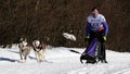Dog sledding race during winter time