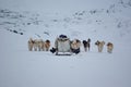 Dog sledge in snowy landscape, Greenland Royalty Free Stock Photo