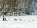 Dog sledge for tourists in Listvyanka village in Russia