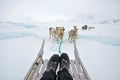 Dog sledging trip Royalty Free Stock Photo