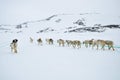 Dog sledging trip Royalty Free Stock Photo