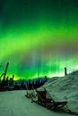 Dog Sleds And Northern Lights