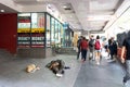 A dog sleep next to a homeless man on foot path in business area