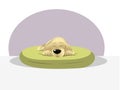 Dog sleeping bed Royalty Free Stock Photo