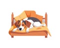 dog sleeping on comfortable bed Royalty Free Stock Photo