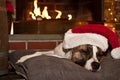 Dog Sleeping by Fireplace