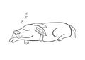 Dog sleeping. Home comfort. Vector illustration Royalty Free Stock Photo