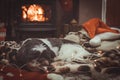 Dog Sleeping By Roaring Log Fire Royalty Free Stock Photo