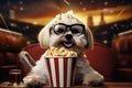 Dog snack pet watching movie popcorn fun cinema film funny entertainment