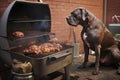 a dog sneaking a steak from a barbecue grill