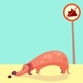 Dog sniffs poop. doggie with short legs sniffing shit. no pooping sign. Cool illustration, vector eps 8